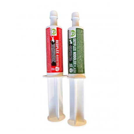 Audevard Redplex Booster 60ml + Nodolox Flash 60ml 