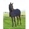 1293-1028799000-navyburgundy-wb-1200d-foal-turnout-standard-image-hero-nulljpg.jpg.webp
