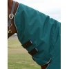 1527-1029026000-forestgreenblack-wb-cft-classic-cmb-220g-neck-image-null-hero.jpg.webp