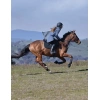 7828-1028839000-slateblue-wb-windbreaker-longline-riding-jacket-lifestyle.jpg.webp