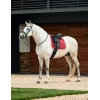 8500-1030346000-wineplum-wb-suede-elite-air-tec-dr-saddle-pad-lifestyle-image-null-herojpg.webp.webp