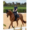 8522-1030351000-black-wb-soft-shell-pro-3d-air-tec-dr-saddle-pad-ridden-lifestyle5jpg.webp.webp