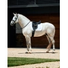 8522-1030351000-white-wb-softshell-pro-3d-air-tec-dr-saddle-pad-lifestyle-image-null-herojpg.webp.webp