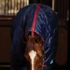 9946-1031483000-navyburgundy-wb-stable-rug-combo-100gm-neck-velcro-image-null-hero-preview.webp.webp
