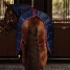 9970-1031483000-navyburgundy-wb-stable-rug-combo-100gm-tail-cord-image-null-hero-preview-3.webp.webp