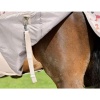 494-494_66fd13bf898a51.88146878_1000415000-dachshundprint_wb-cft-ess-cmb-legstrap_image_null_hero_large.jpg