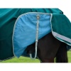6338-6338_67de3f456b0d50.26945762_1006916000-tealgreenstonetealgreen_wb-cft-pl-dynamic-ii-dan-lite-legstrap_image_null_hero_large.jpeg