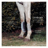 6388-6388_67e2970d04c160.61343557_equitime-splint-boot.jpg_large.png