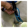 6449-6449_67e3c138db5143.62830710_equitime-anatomic-girth.jpg-3_large.png