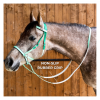 6493-6493_6804bd8292c132.21369703_equitime-reins-in-biothane.jpg_large.png