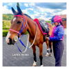 6493-6493_6804bd8d732841.33594374_equitime-reins-in-biothane.jpg-2_large.png