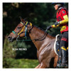 6493-6493_6804bd9d785d54.54924697_equitime-reins-in-biothane.jpg-3_large.png