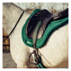 6519-6519_6808af4c247c78.78482546_equitime-single-staff-comfort-model.jpg_large.png