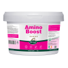 Mervue Aminoboost - aminohapped