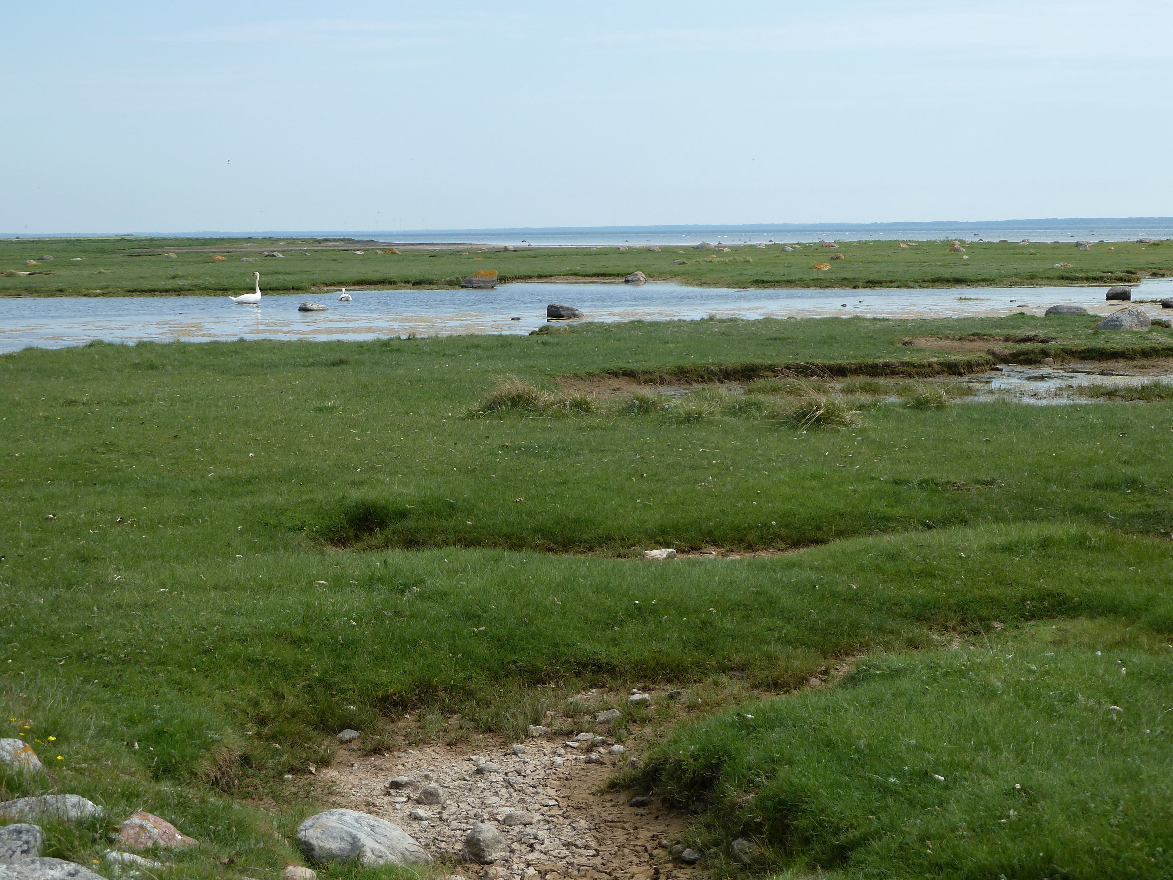 Rannaniit.jpg (1.37 MB)