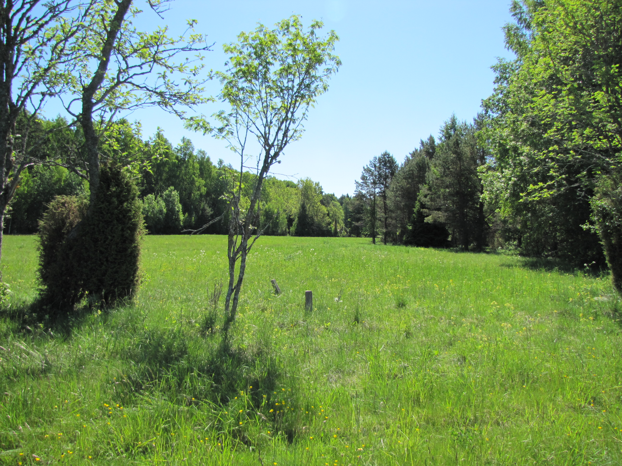 Soonnaa.jpeg (2.26 MB)