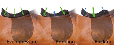 image5.jpg (57 KB)